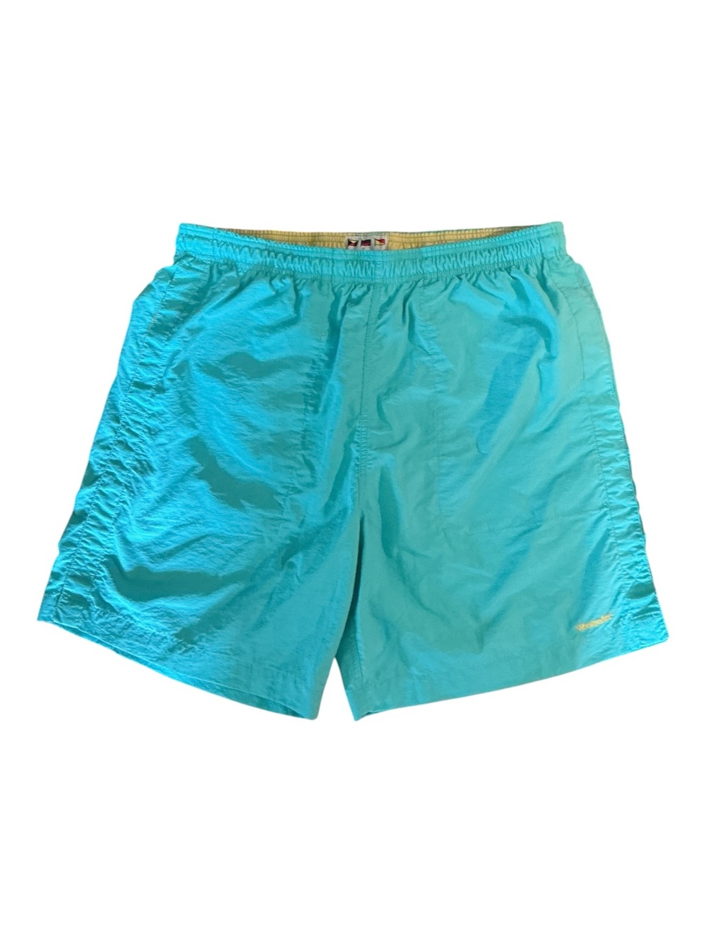 Aqua Swim Shorts